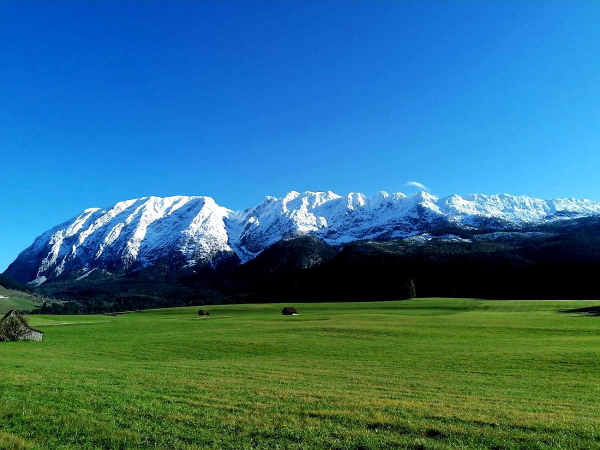 Ferienwohnung Lena Bad Mitterndorf Dış mekan fotoğraf